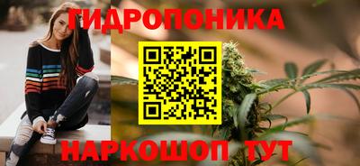 дурь Сланцы