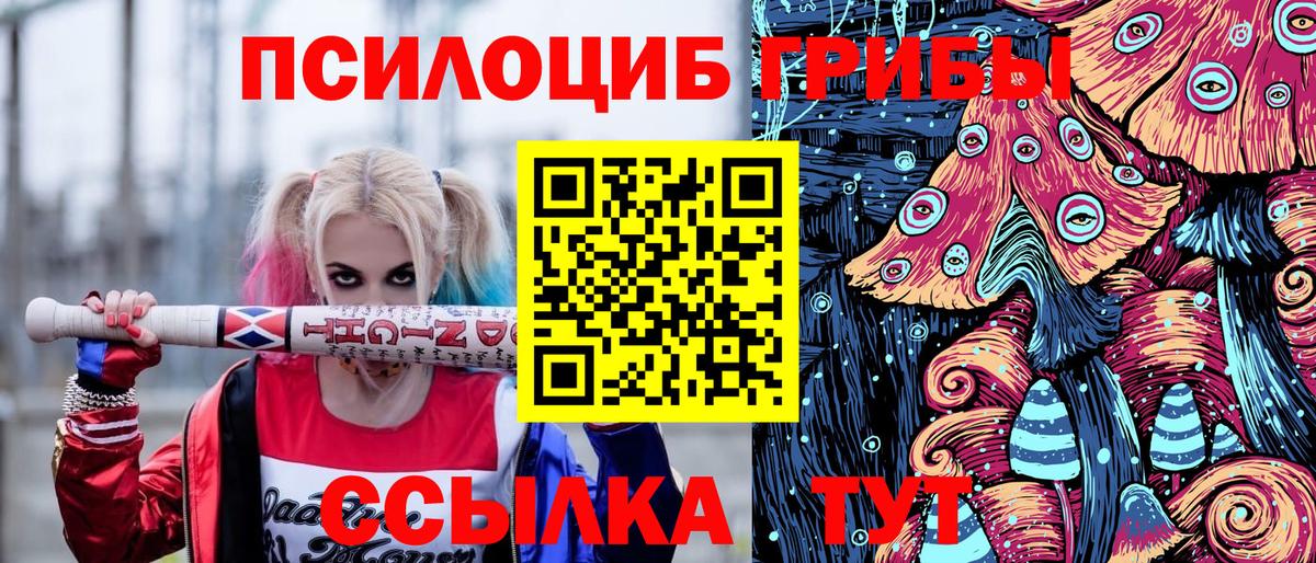 Псилоцибиновые грибы Cubensis  Вход с VPN  Красноперекопск  Псилоцибиновые грибы мицелий 