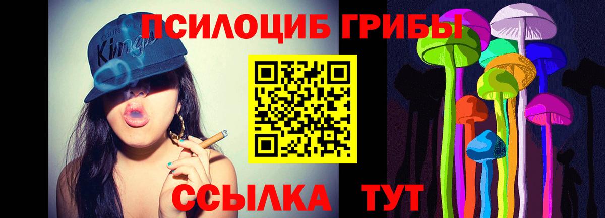Псилоцибиновые грибы ЛСД Красноперекопск